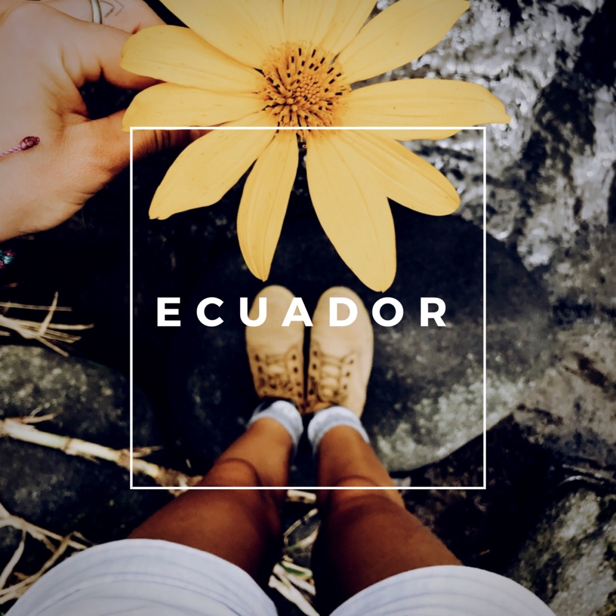 travel Ecuador